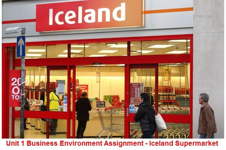 Unit 1 Business Environment Assignment Iceland Supermarket