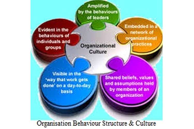 Organizational Structure And Culture