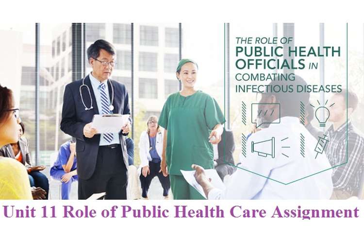 Unit 11 Role of Public Health Care Assignment