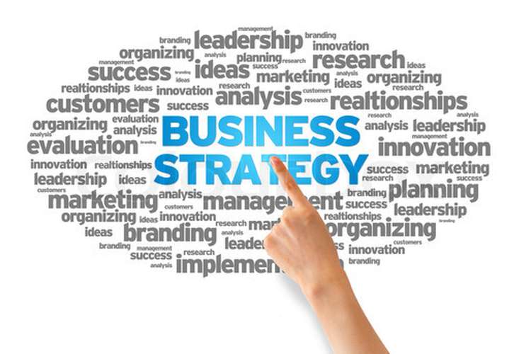 An Organization Strategic Business Plan An Organization Strategic Business Plan