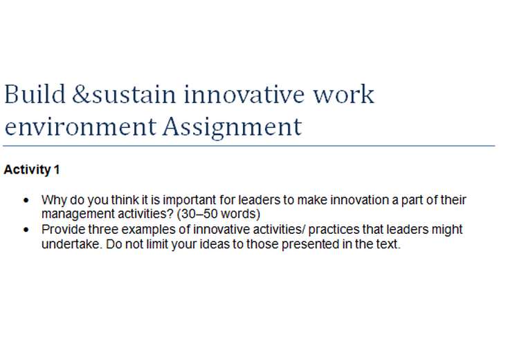 Build &Sustain Innovative Work Environment Assignment