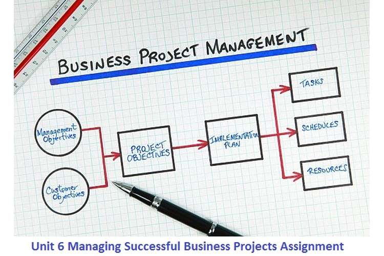 Unit 6 Managing Successful Business Projects Assignment 