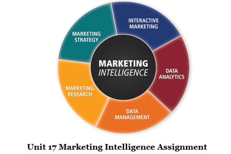 Unit 17 Marketing Intelligence Assignment