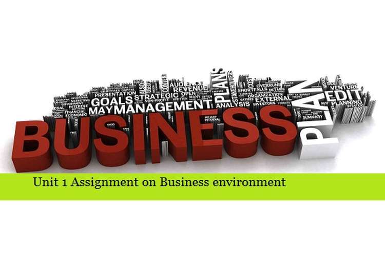 Assignment on Business environment 