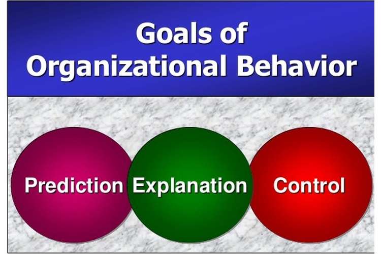 Organisational Behavior Assignment