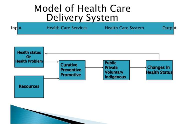 hth325-health-care-delivery-systems-oz-assignments