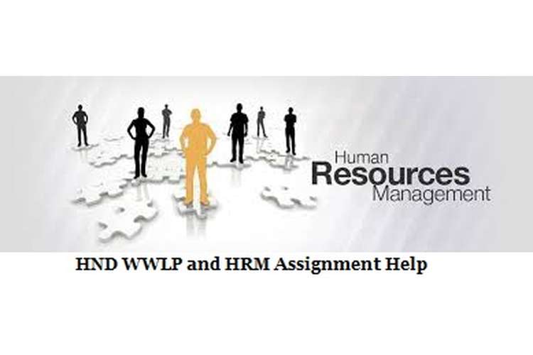 WWLP and HRM Assignment Help