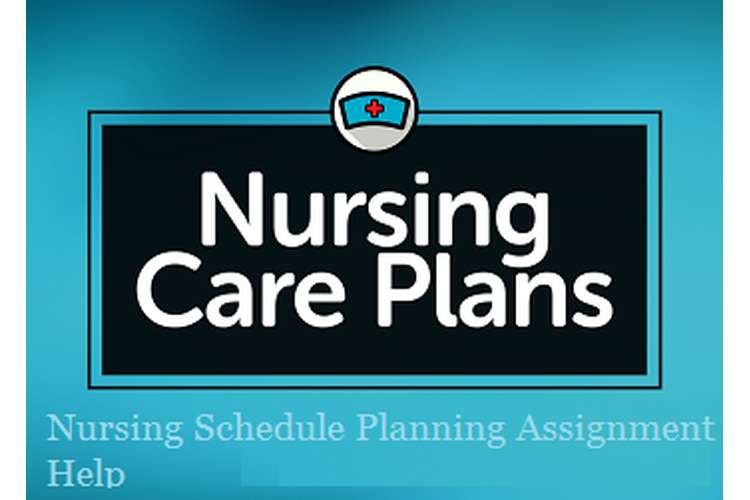 Nursing assignment