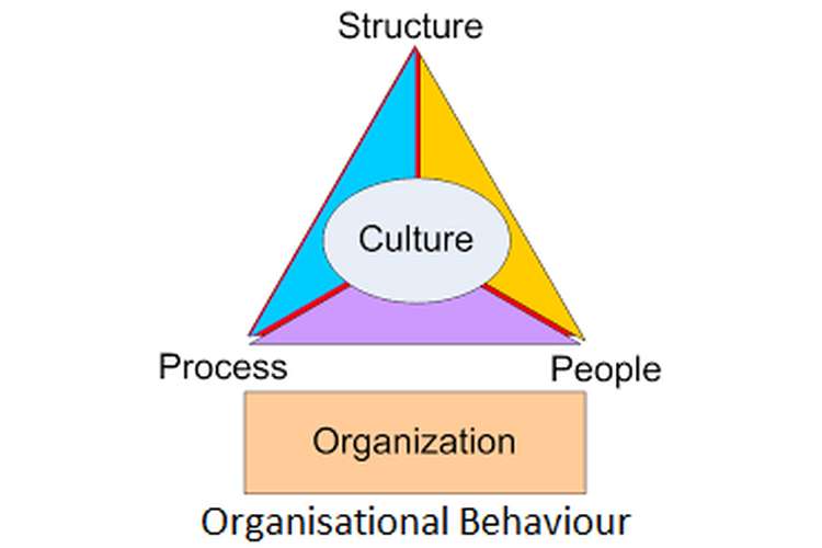 Unit 3 Organisational Behaviour Structure and Culture Assignment