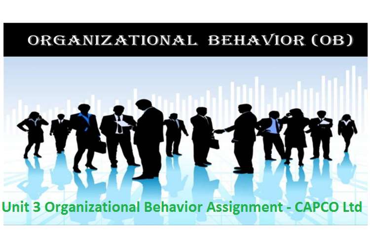 Unit 3 Organizational Behavior Assignment - CAPCO Ltd