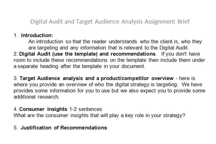 Digital Audit Target Audience Analysis Assignment Brief