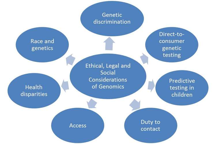 HLSC220 Ethical Issues In Healthcare Proof Reading Services