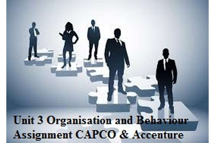 Unit 3 Organisation and Behaviour Assignment CAPCO & Accenture