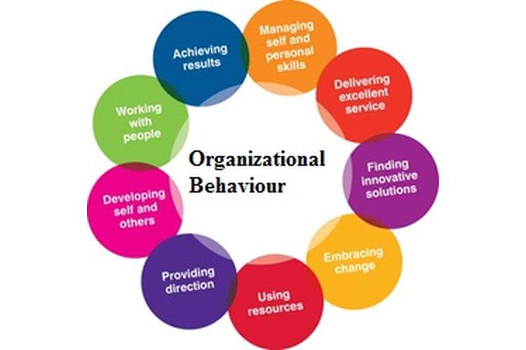 models of organisational behaviour assignment