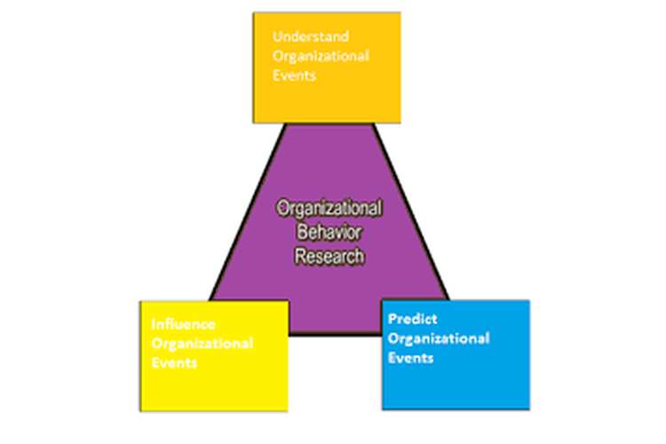 Unit 3 Organization Behaviour Assignment - Capco & Hsbc