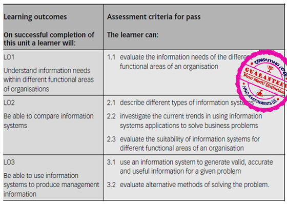 Unit 30 Information Systems in Organisations Assignment
