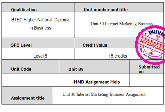 Unit 30 Internet Marketing Business Assignment