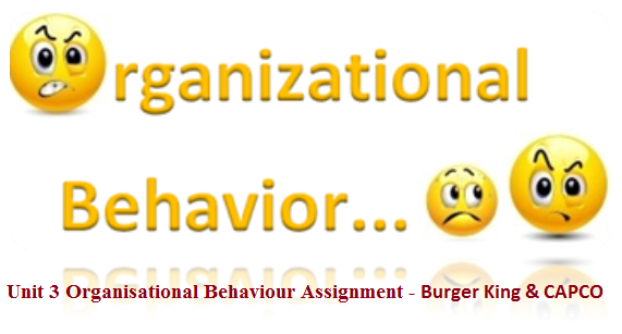 Unit 3 Organisational Behaviour Assignment - Burger King & CAPCO 