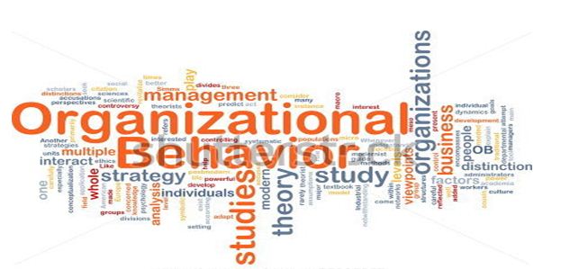 Unit 3 Organisational Behaviour Assignment Capco