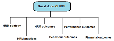 Unit 18 Models of Guest and Storey’s HRM Assignment 