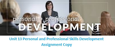 Unit 13 Personal and Professional Skills Development Assignment Copy