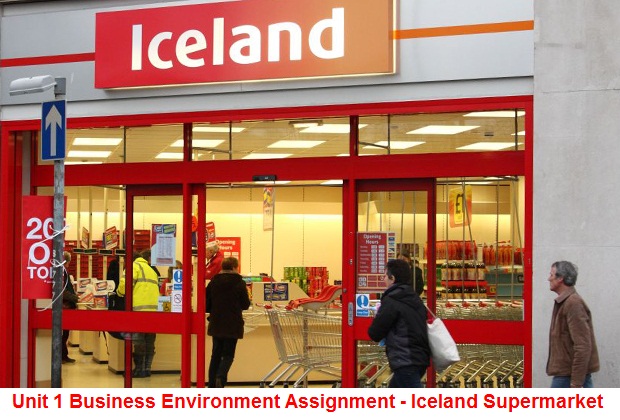 Unit 1 Business Environment Assignment Iceland Supermarket