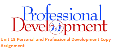 Unit 13 Personal and Professional Development Copy Assignment 