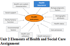Unit 2 Elements of Health and Social Care Assignment