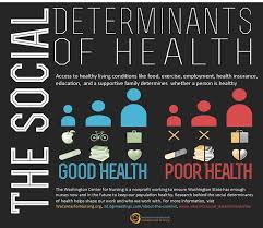 Unit 2 Public Health in Health and Social Care Assignment
