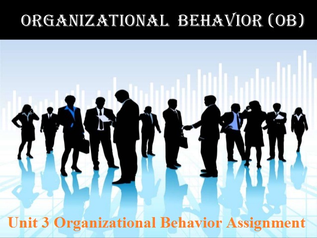 Unit 3 Organizational Behavior Assignment - CAPCO
