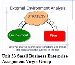 Unit 33 Small Business Enterprise Assignment Virgin Group