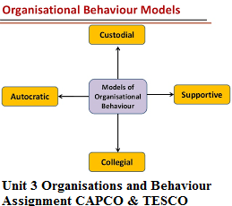 Unit 3 Organisations and Behaviour Assignment CAPCO & TESCO 
