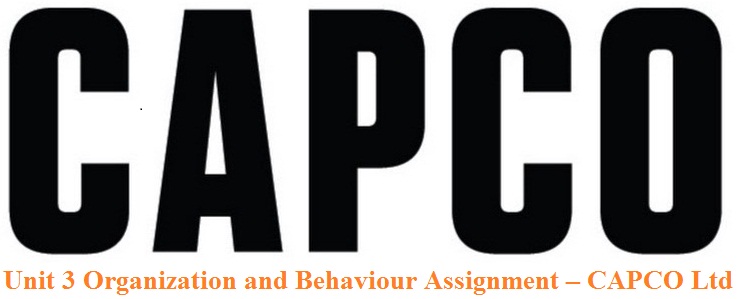 Unit 3 Organization and Behaviour Assignment – CAPCO Ltd