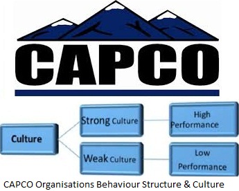 CAPCO Organisations Behaviour Structure & Culture Assignment 