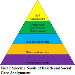 Unit 2 Specific Needs of Health and Social Care Assignment