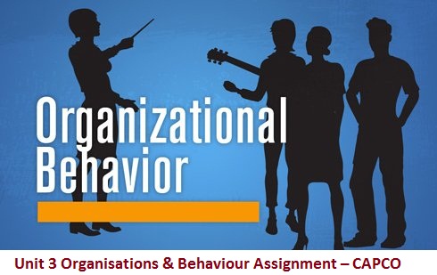 Unit 3 Organisations & Behaviour Assignment – CAPCO 