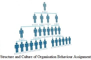 Structure and Culture of Organisation Behaviour Assignment  