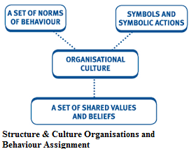 Structure & Culture Organisations and Behavior Assignment