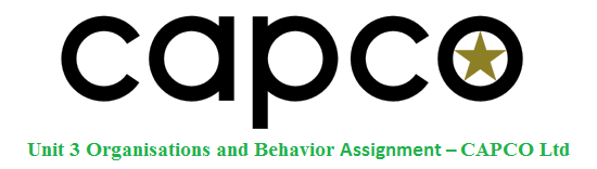 Unit 3 Organisations and Behavior Assignment – CAPCO Ltd
