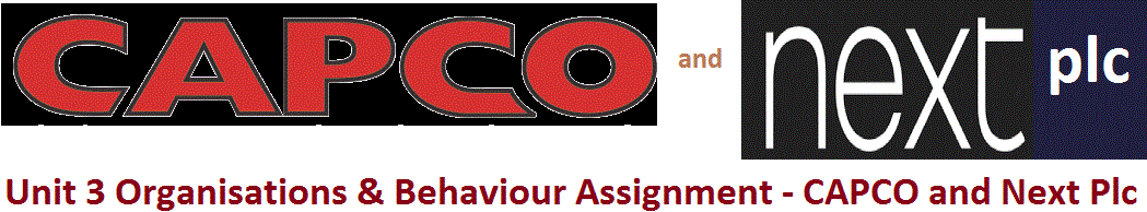 Unit 3 Organisations & Behaviour Assignment - CAPCO and Next Plc