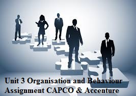 Unit 3 Organisation and Behaviour Assignment CAPCO & Accenture