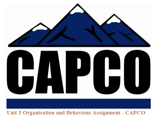 Unit 3 Organisation and Behaviour Assignment - CAPCO