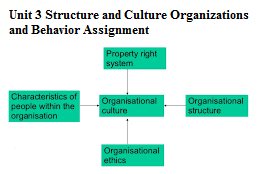 Unit 3 Structure and Culture Organizations and Behavior Assignment 