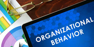 Unit 3 Organization Behaviour Assignment Capco & Four Seasons hotel