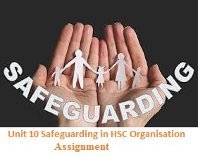 Unit 10 Safeguarding in HSC Organisation Assignment 