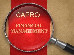 Unit 3 Organisations and Behaviour Assignment CAPRO