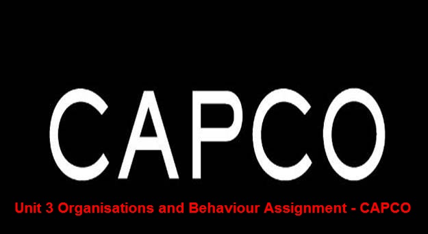 Unit 3 Organisations and Behaviour Assignment - CAPCO
