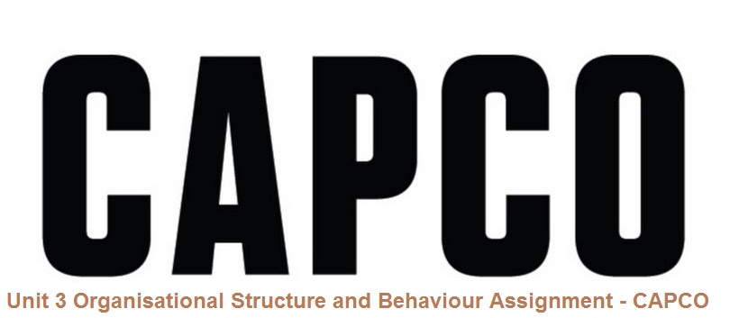 Unit 3 Organisational Structure and Behaviour Assignment - CAPCO