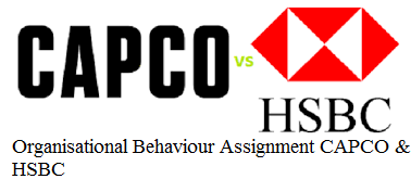 nit 3 Organisational Behaviour Assignment CAPCO & HSBC