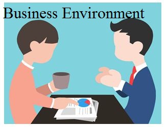 Unit 1 Essay on Business Environment Assignment